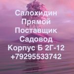 Бурхон Эшанкулов