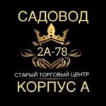 Джамиль Сурик